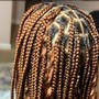 Crochet Braids/Twists/Locs