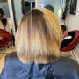 The Fabulous Package - Highlights/ Balayage