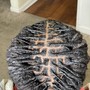 Male Individual / scalp Braids