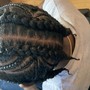 Box Braids (hair included)