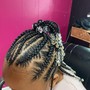 Box Braids (hair included)