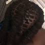 Two strand twists (full head)