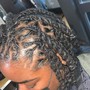 Retwist and Double Strands, Plaits, or Ropes