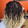 Small Bomb Twists (hair included)