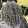 Root Touch Up