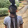 Tree Braids