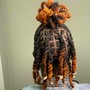 Loc Retwist