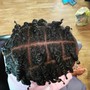 Natural Twists