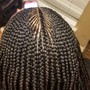 Goddess Box Braids medium bra length