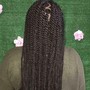 Male Braids