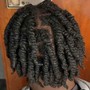 Two Strand Twists