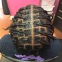 Two Strand Twists