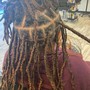 Starter Loc Consultation