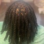 Dreads Retwist