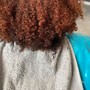 Root Touch Up