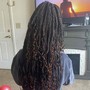 Beginner locs