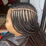 Box braids in bob (Med)