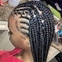 7+ Feed-In Braids