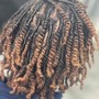 Starter locs