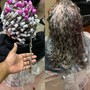 Root Touch Up