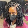 Butterfly locs ( short)