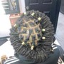 Senegalese Twist