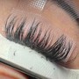 The Lash Life 2 Week Fill-in