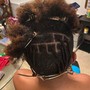 2 Strand twist Starter Locs