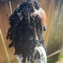 Natural Coils