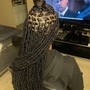 Passion Twist (Waist Length)