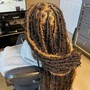 Starter Locs