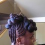 Braided ponytail / bun