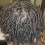 Starter Locs