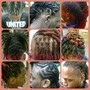 Starter Locs