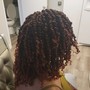 Natural Twists