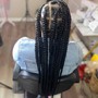 Small feed in braids with or without design