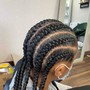 Web Knotless Braids