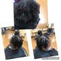 Natural Twists