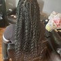 Wash, Detangled, and blow out (Natural Hair)