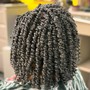 Large Havana Twists hair included