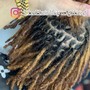 Loc Re-twist + TWO STRAND TWIST