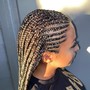 Kid's Braids (8+ years old)