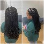 5-10 Feedins (No Stitch, no pony) straight back styles Braids