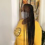 Butterfly crochet Locs