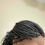 Small Straight Backs Braids