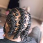 Retwist &amp; Styles (ear - neck length)