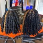 Take Down (Butterfly locs/Soft locs)