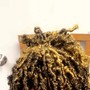 Dreadlocks