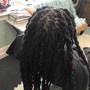 Dreadlocks/StarterLocs