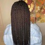 Senegalese Twist small midback